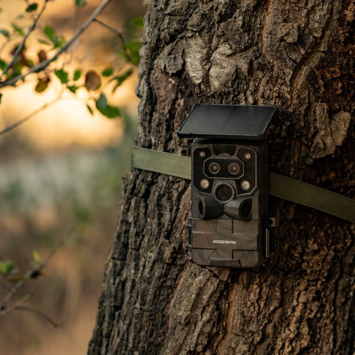 VOOPEAK TC37 4K 60MP High-Resolution Solarbetriebene WLAN-Wildkamera für Jagd und Wildtierbeobachtung