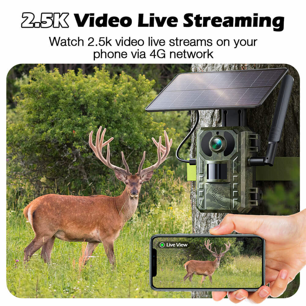 Voopeak TC25 2,5K 4G LTE Mobilfunk-Wildkamera mit Live-Streaming und No-Glow-Nachtsicht 